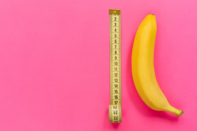 Durchschnittliche Penisgröße Wie lang ist der durchschnittliche Penis