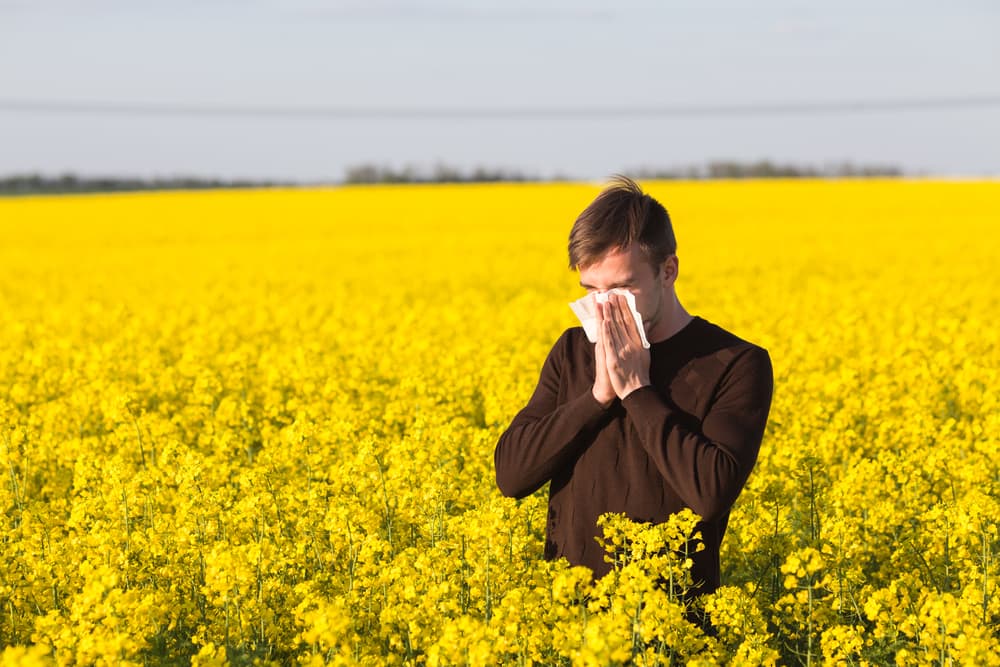 Ein Mann stand in einem Feld voller Blumen und nieste, weil er Heuschnupfen hat